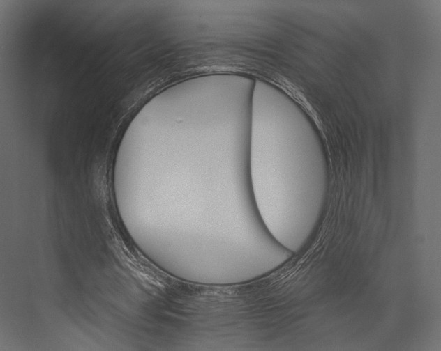 X0000076040386200610061450