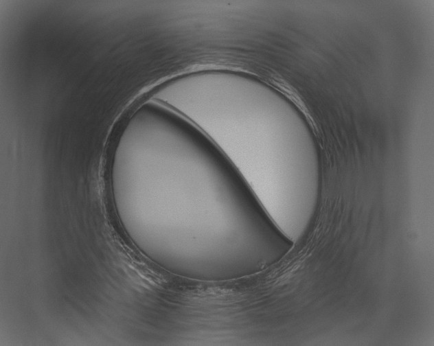 X0000076040387200610061450