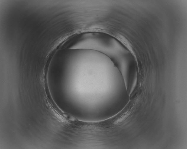 X0000076040389200610061449