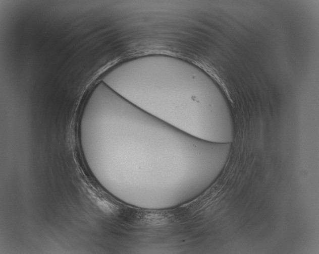 X0000076040390200610061449