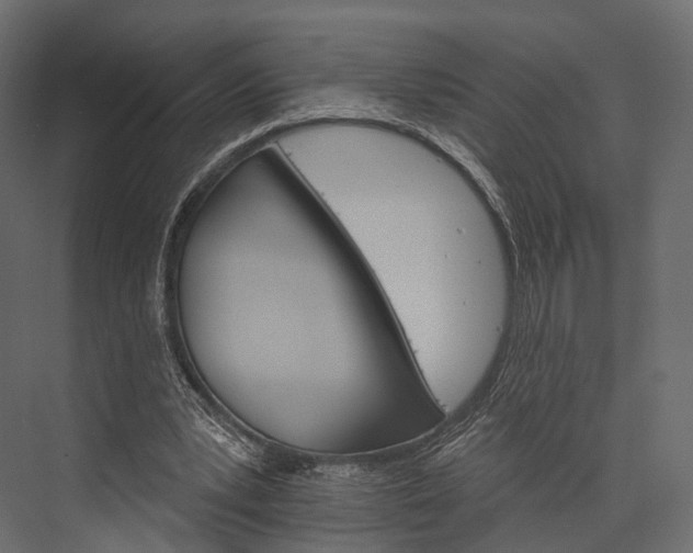 X0000076040391200610061449