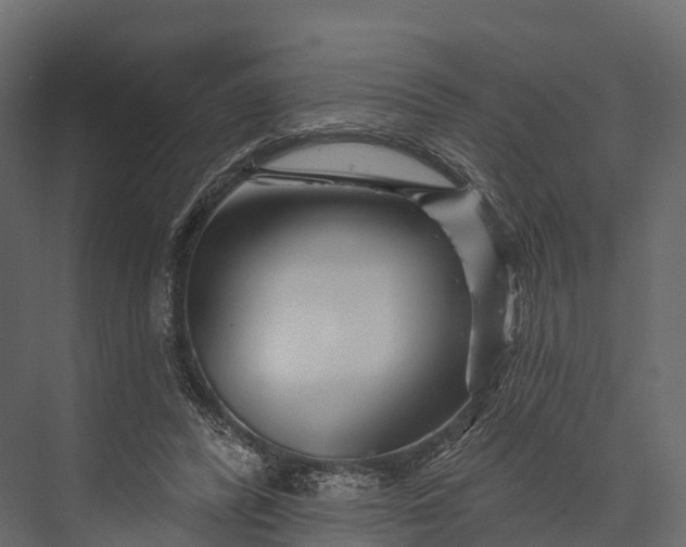 X0000076040400200610061449
