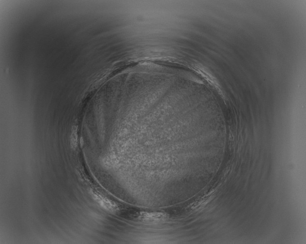X0000076040401200610061449