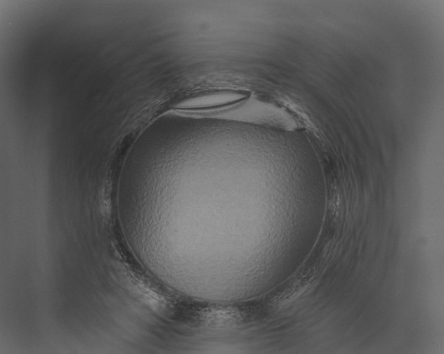 X0000076040402200610061449