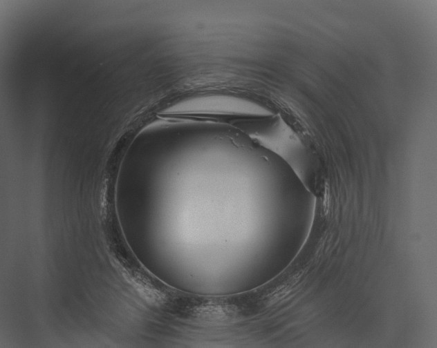 X0000076040404200610061449