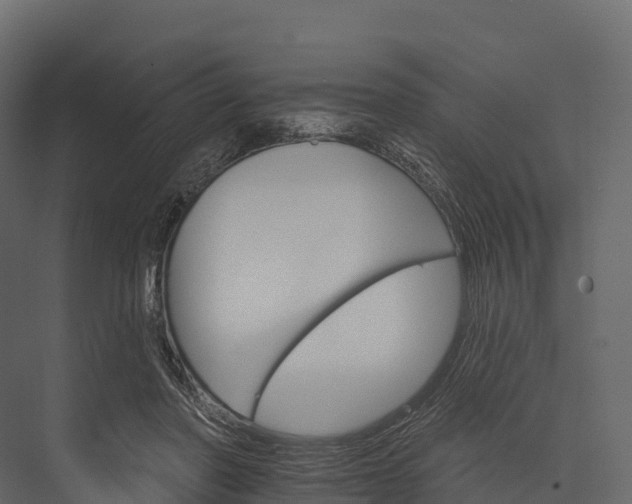 X0000076040406200610061449