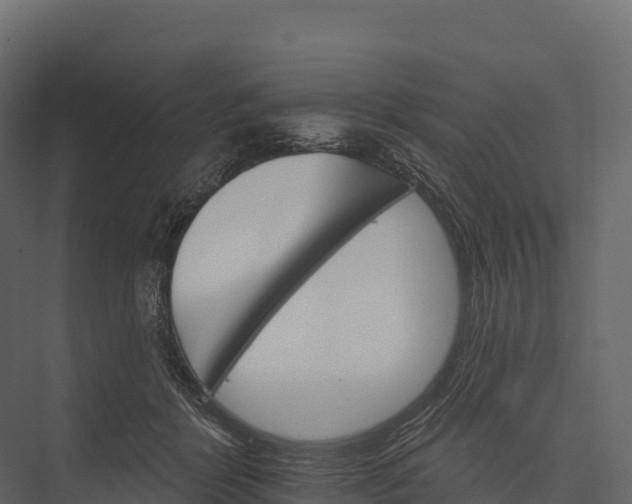 X0000076040412200610061449