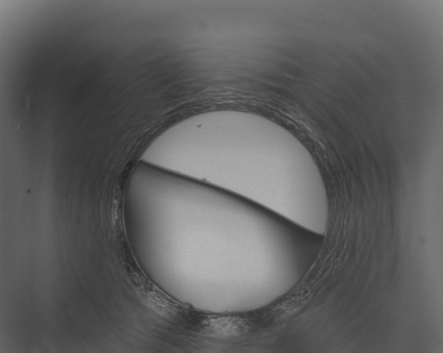 X0000076040417200610061449
