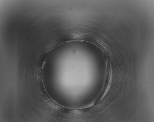 X0000076040421200610061449