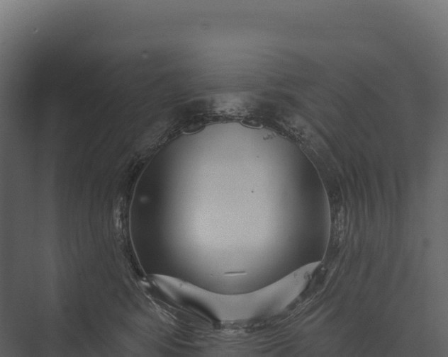 X0000076040424200610061449