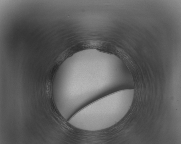X0000076040425200610061449