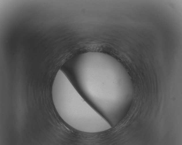 X0000076040432200610061449