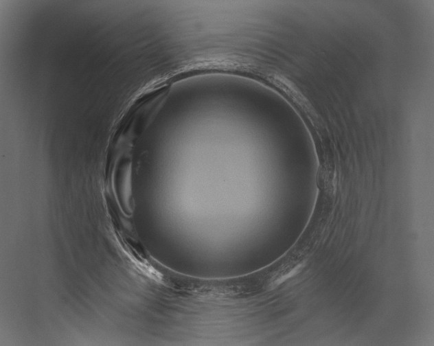 X0000076040434200610061448