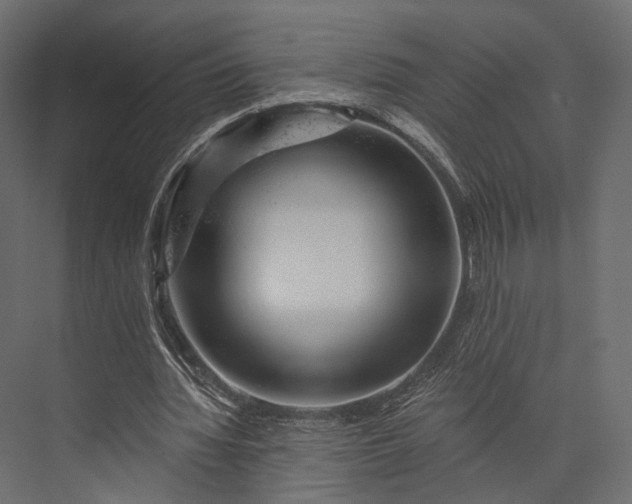 X0000076040436200610061448