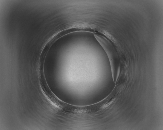 X0000076040440200610061448