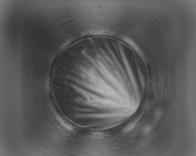 X0000076040441200610061448