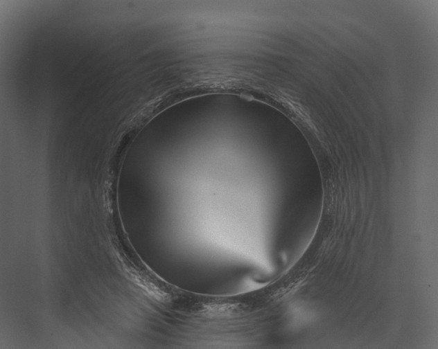 X0000076040450200610061448