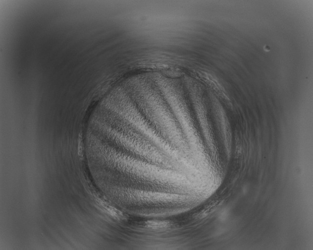 X0000076040457200610061448