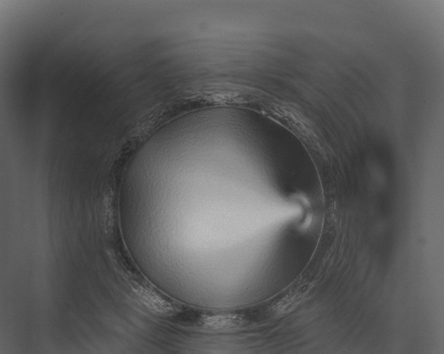 X0000076040461200610061448