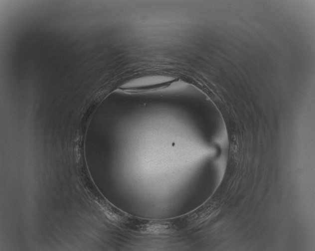 X0000076040462200610061448