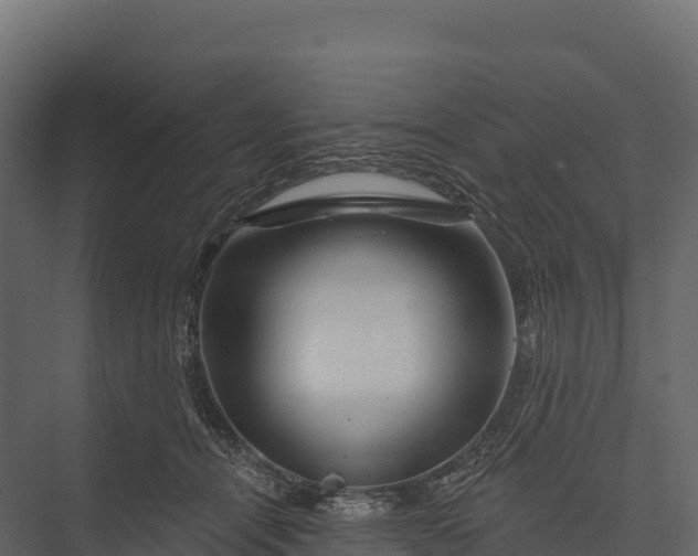 X0000076040464200610061448