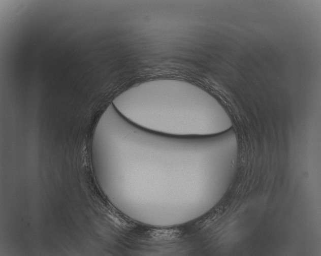 X0000076040465200610061448