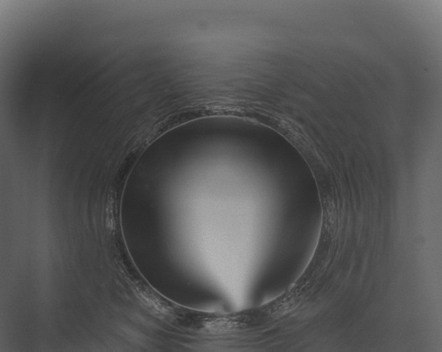 X0000076040470200610061449