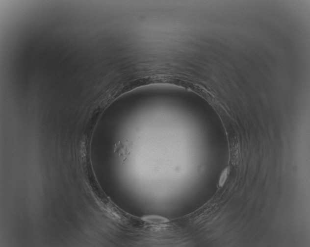 X0000076040472200610061449