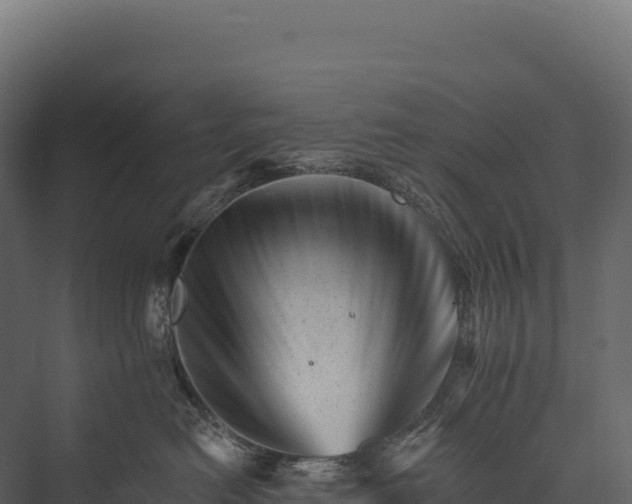 X0000076040478200610061449