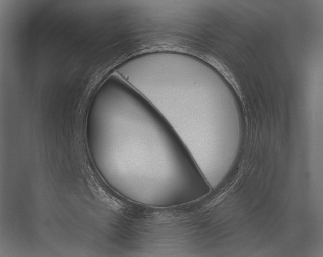 X0000076040481200610061448