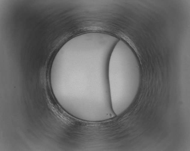 X0000076040482200610061448