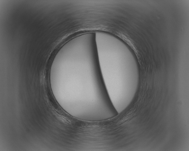 X0000076040483200610061448