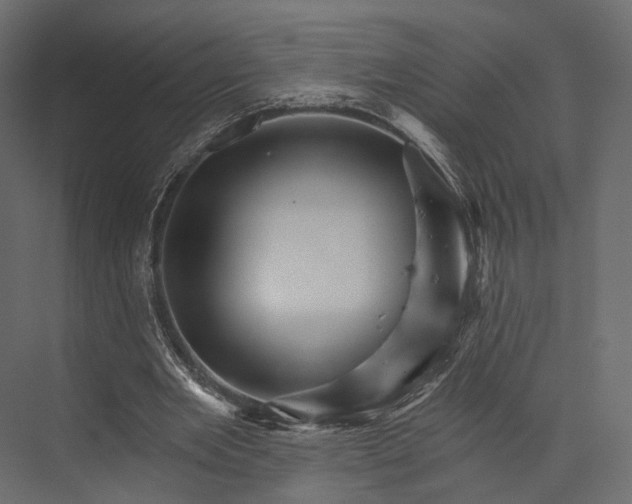 X0000076040485200610061448