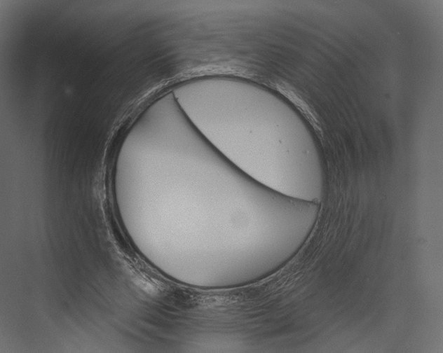 X0000076040486200610061448