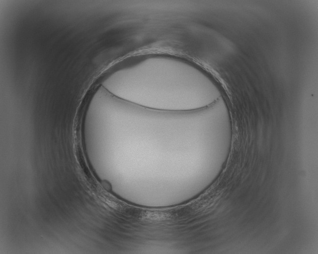 X0000076040487200610061448