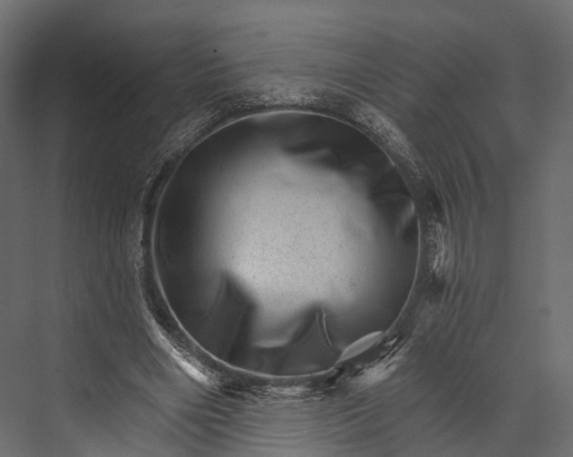 X0000076040490200610061448