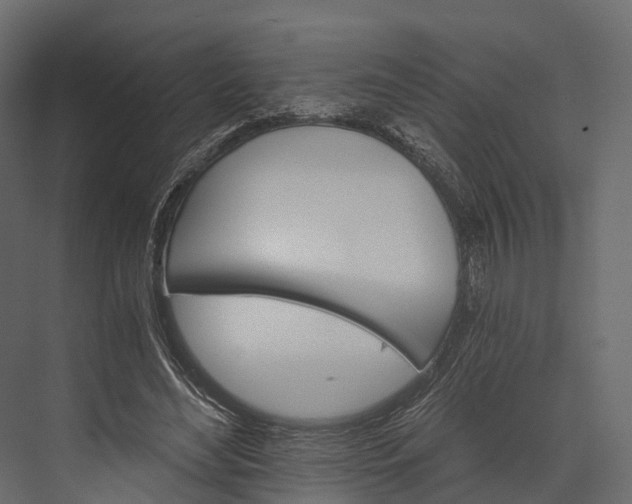 X0000076040492200610061448