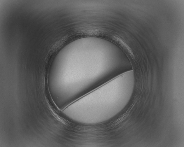 X0000076040493200610061448