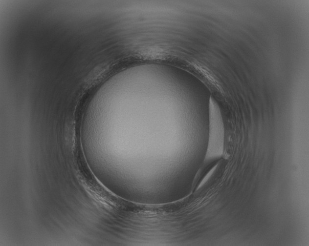 X0000076040494200610061448