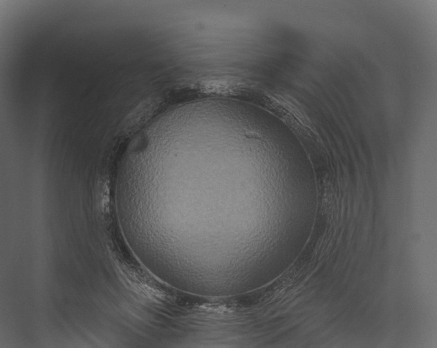 X0000076040502200610061448