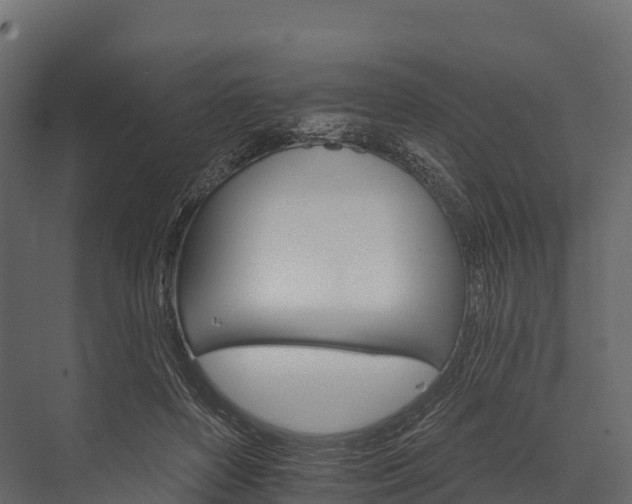 X0000076040504200610061448