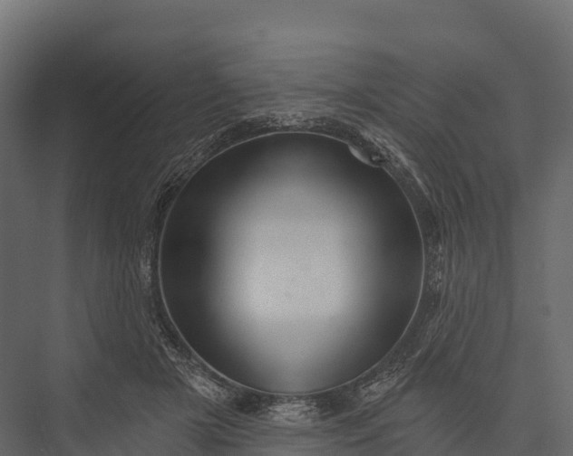 X0000076040505200610061448