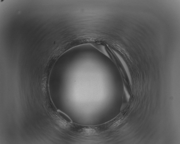 X0000076040509200610061447