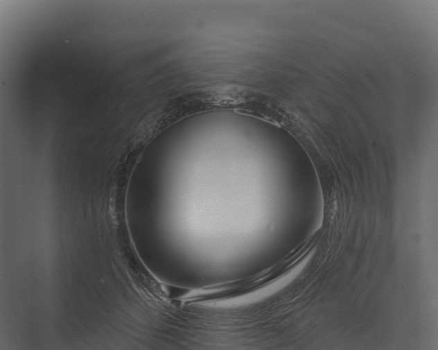 X0000076040512200610061447
