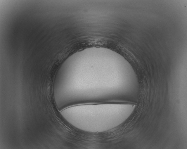 X0000076040513200610061447