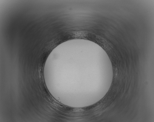 X0000076040514200610061447
