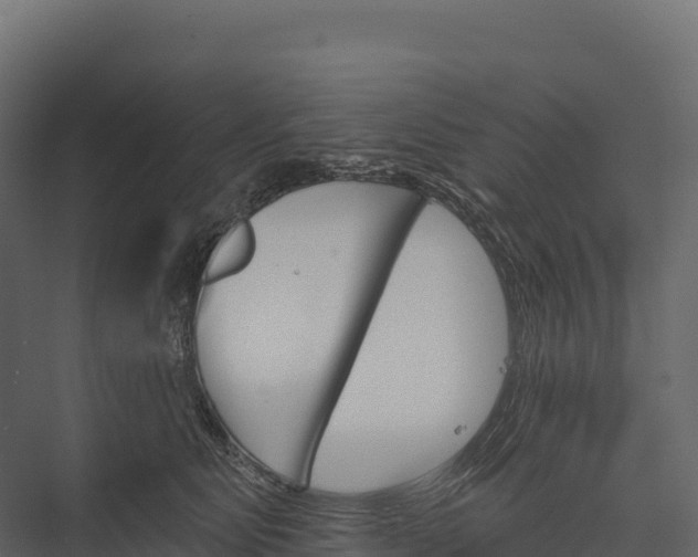 X0000076040515200610061447