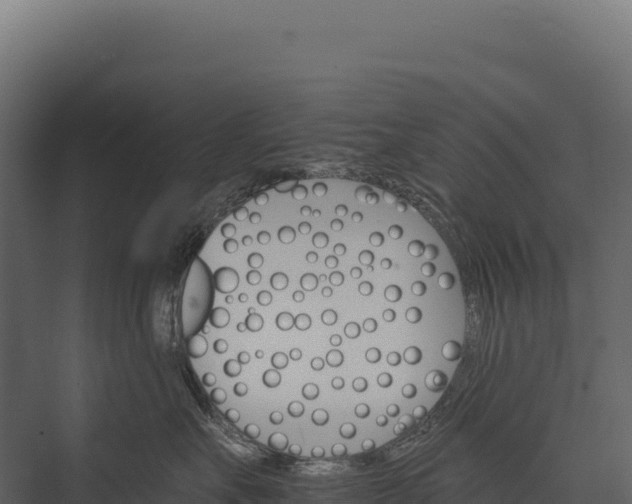X0000076040527200610061447