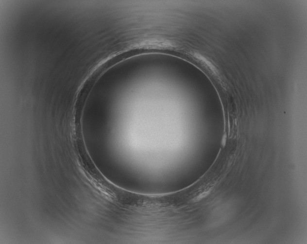 X0000076040531200610061446