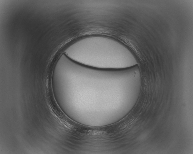 X0000076040539200610061446